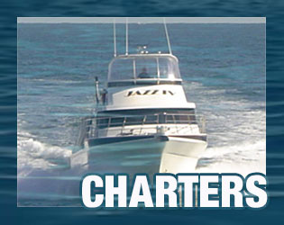 charters with Jazz charters 